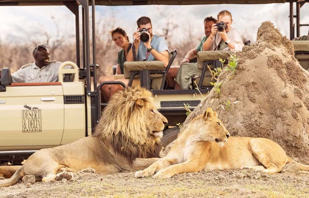 Top 10 Destinations for African Safaris