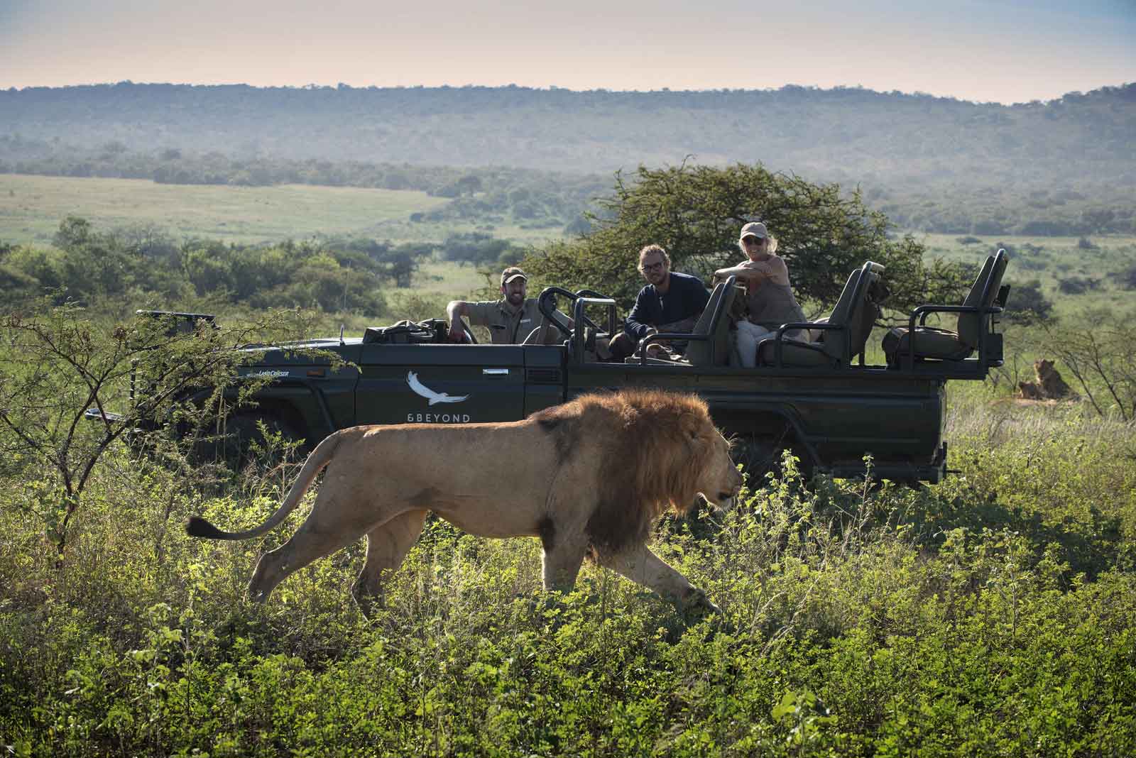 Explore & Travel Africa- Top 20 Sabi Sands Safari Lodges