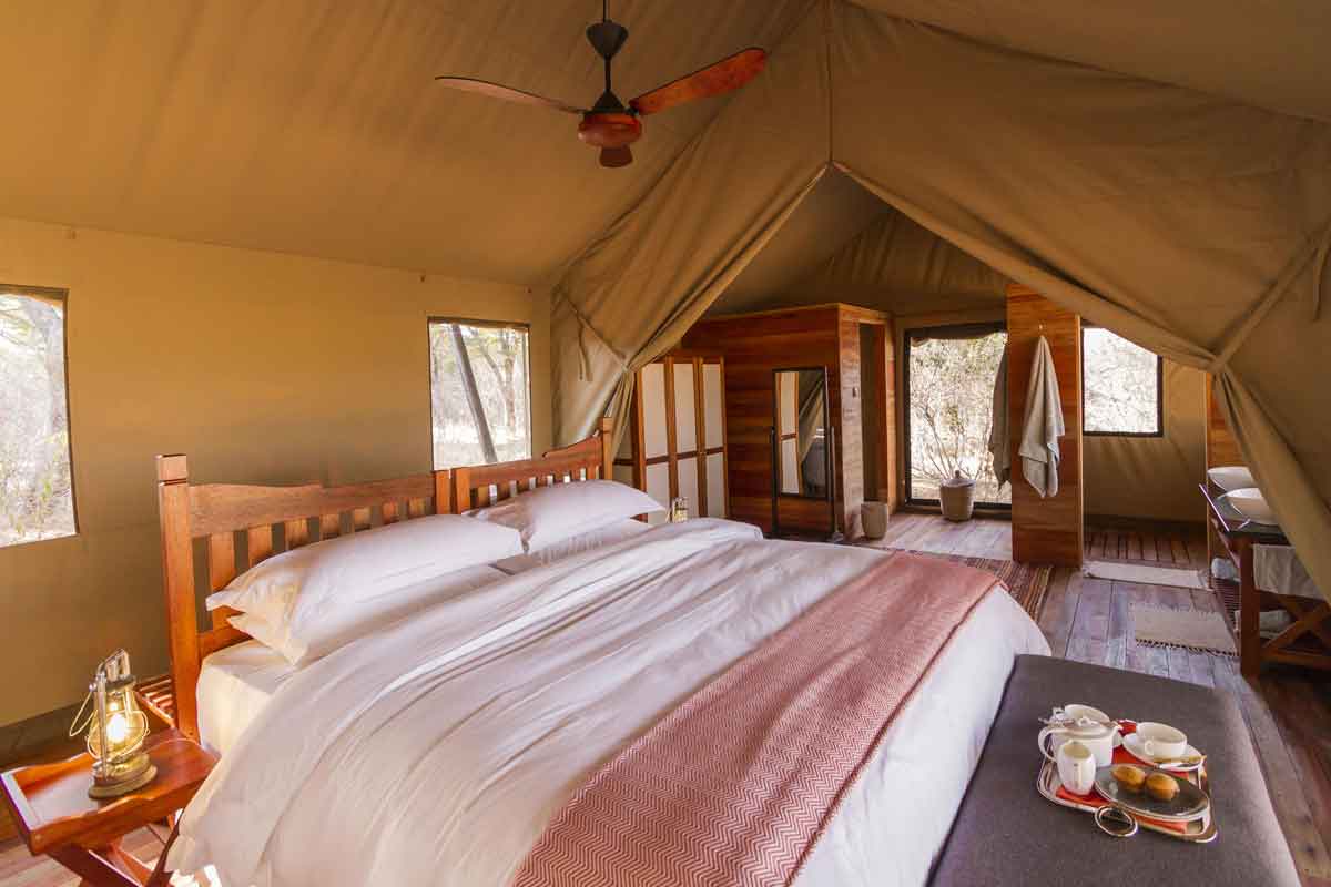 Classic Hwange Safari - Verneys Camp