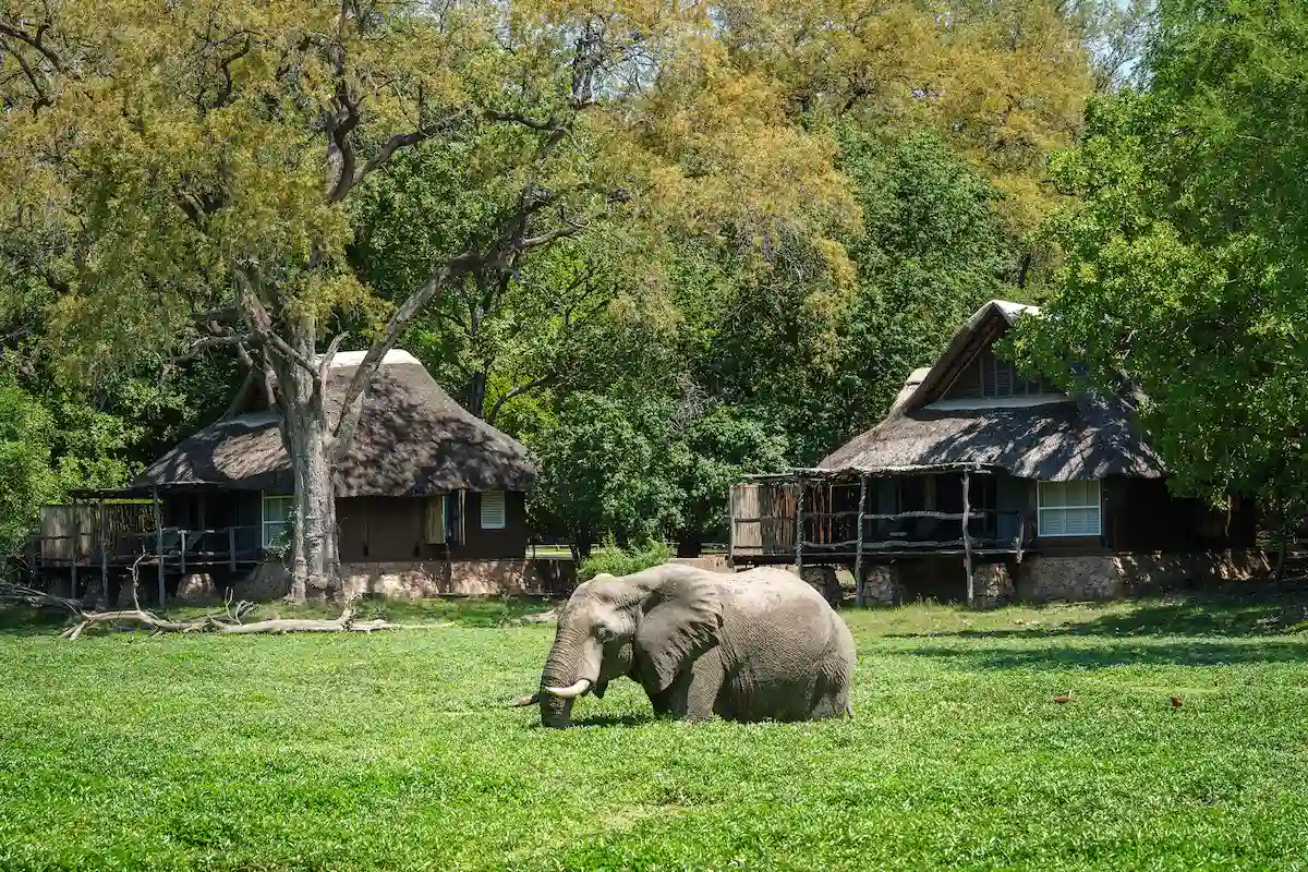 Mfuwe Lodge