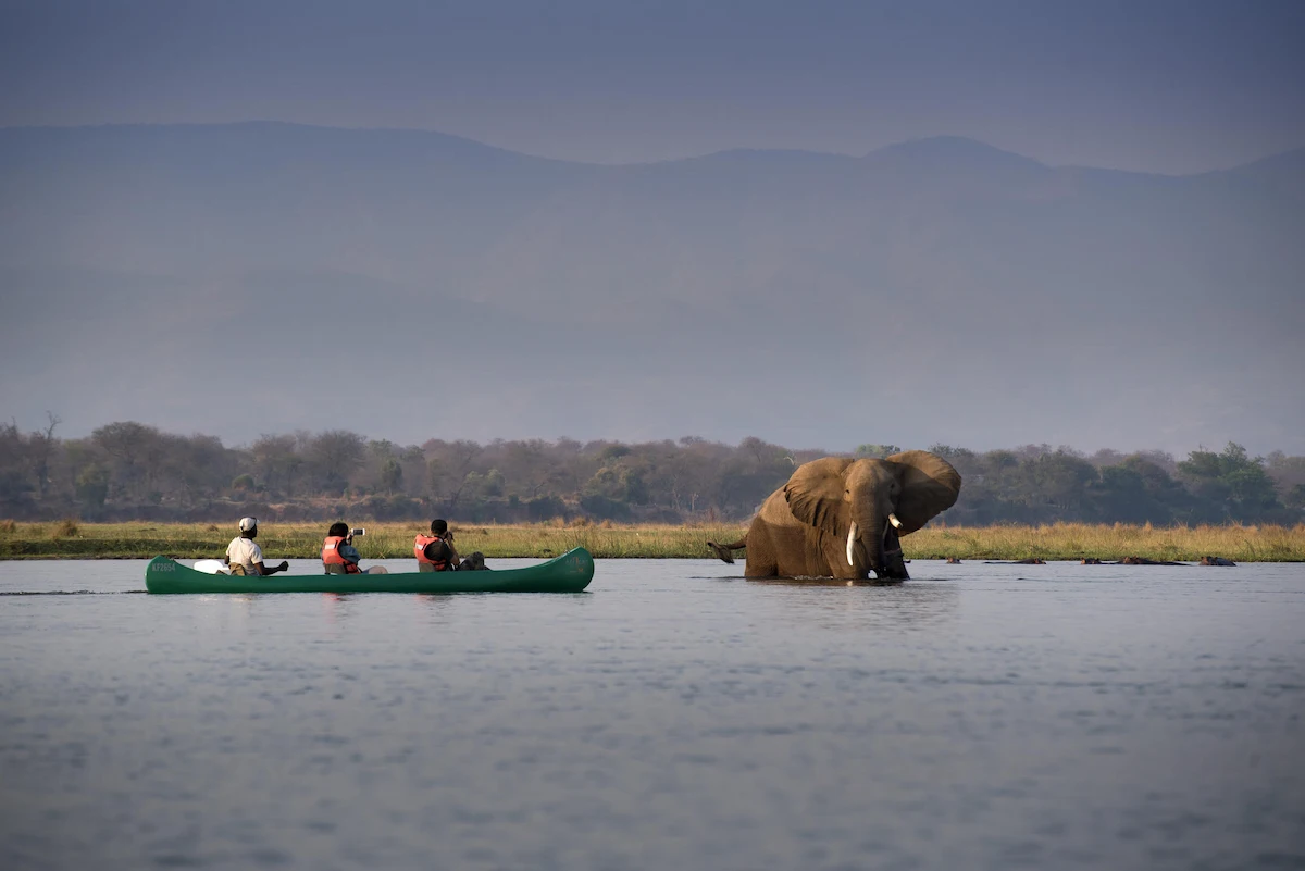 Nyamatusi Camp Mana Pools