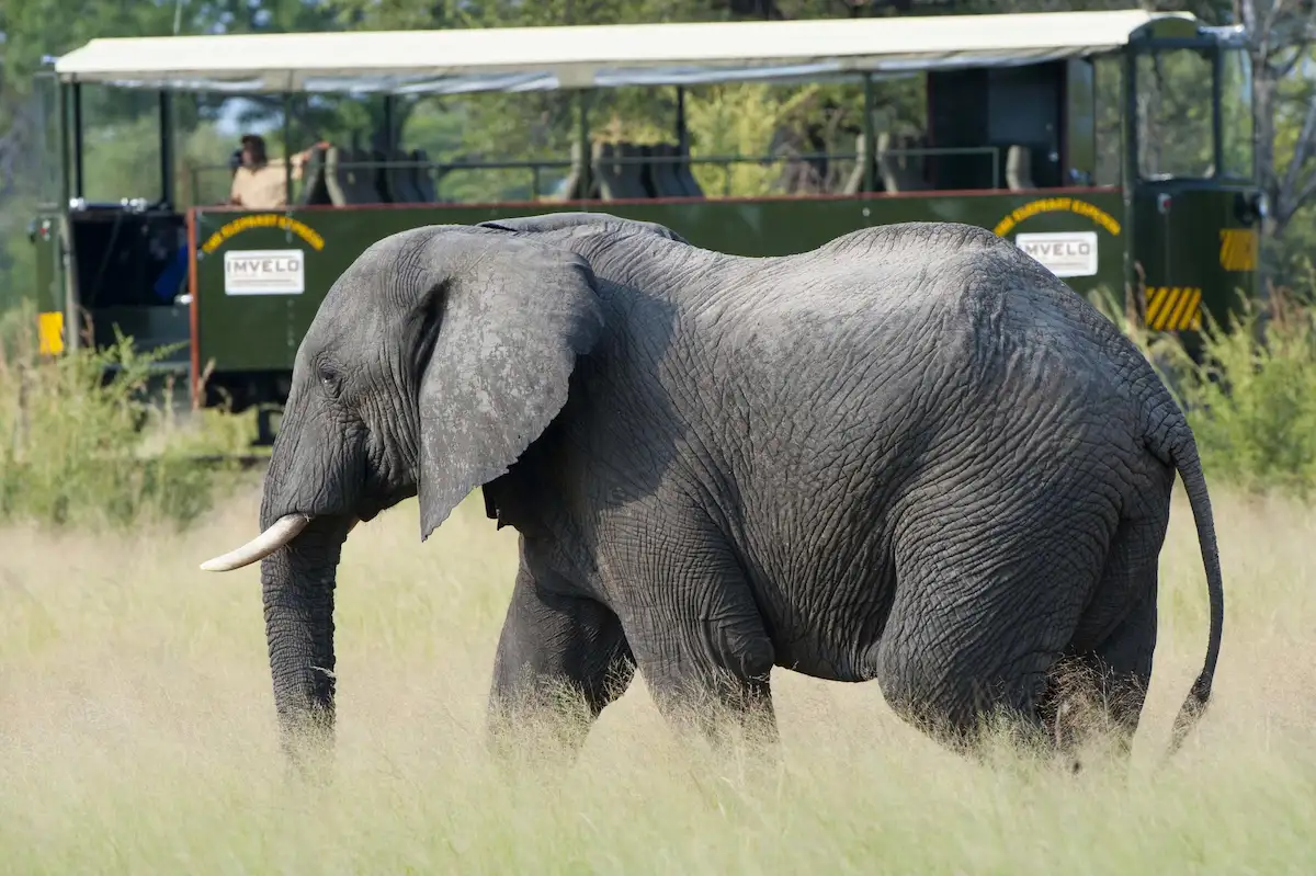 Bomani Tented Lodge