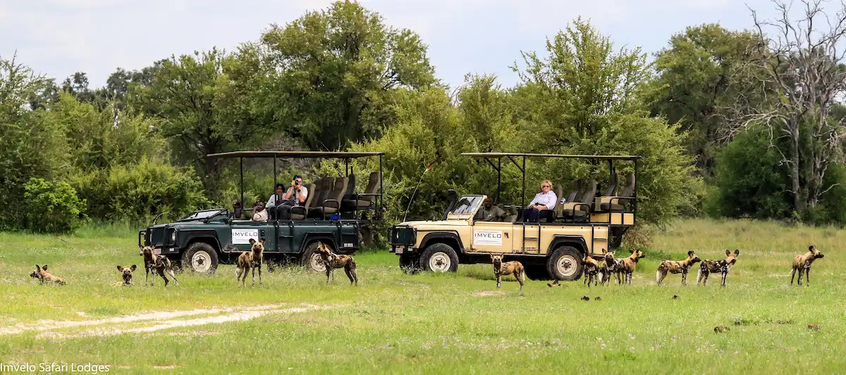 Bomani Tented Lodge