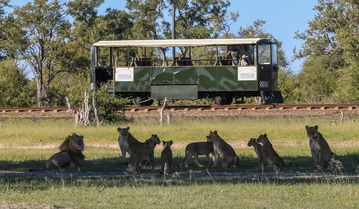 Bomani Tented Lodge