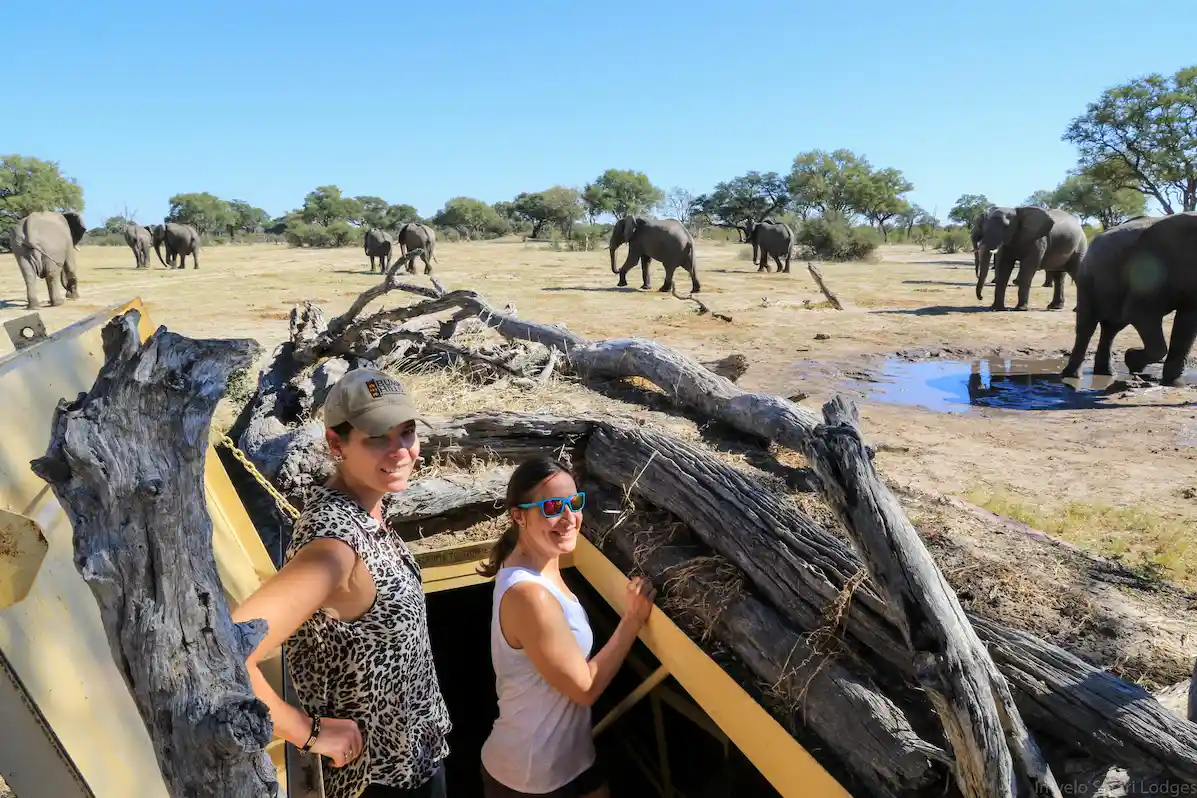 Bomani Tented Lodge