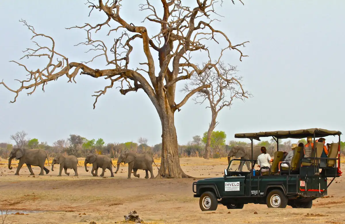 Bomani Tented Lodge