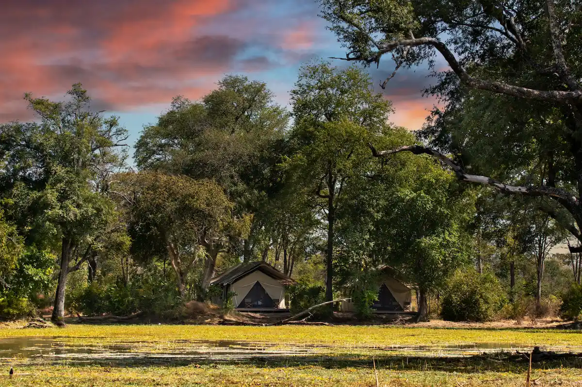 Ingwe Pan Camp Machaba