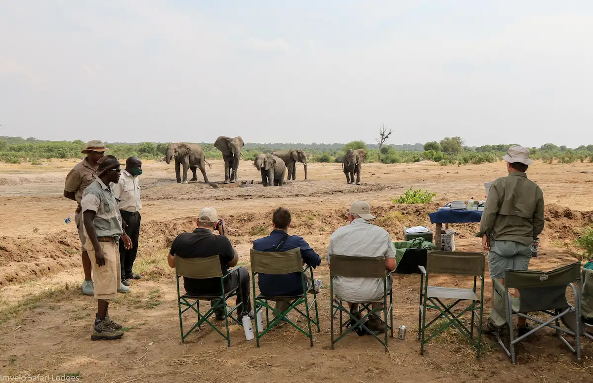 Jozibanini Camp