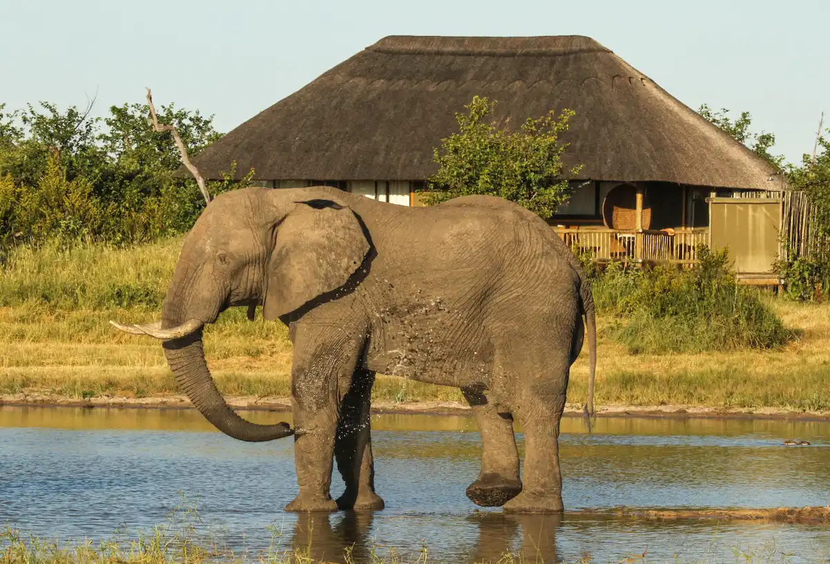 Nehimba Safari Lodge