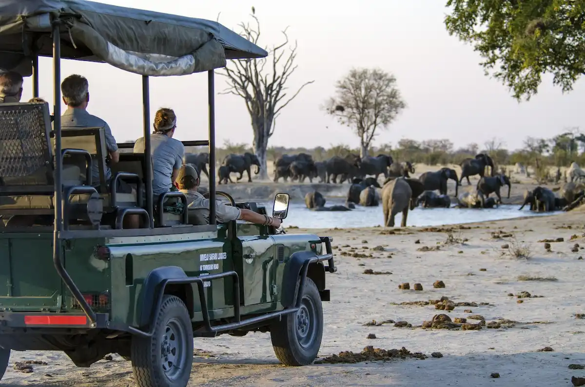 Nehimba Safari Lodge