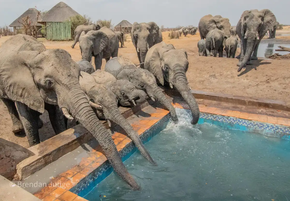 Nehimba Safari Lodge