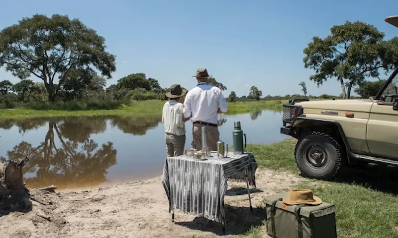 Botswana Safari Experience