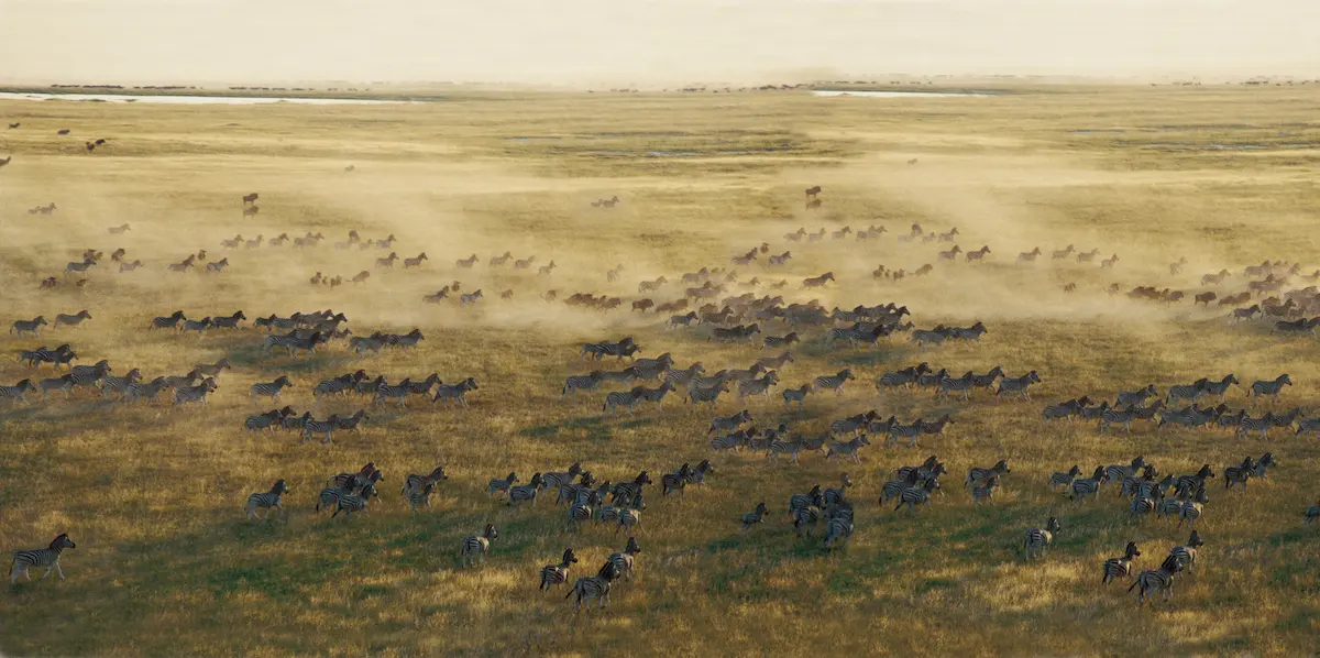Botswana's Green Season