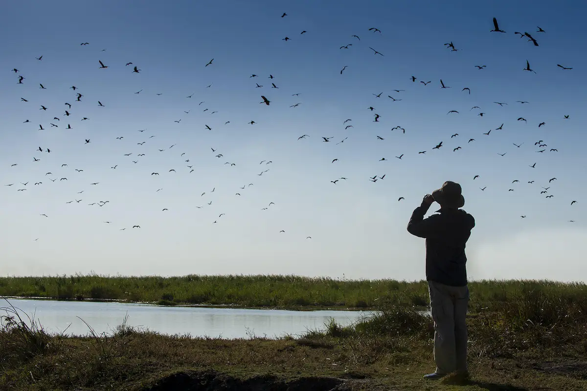 Botswana's Green Season