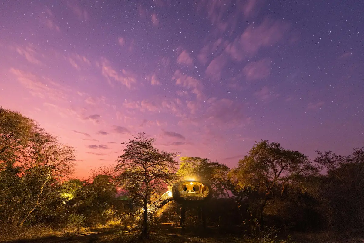 Chisa Busanga Camp Green Safaris