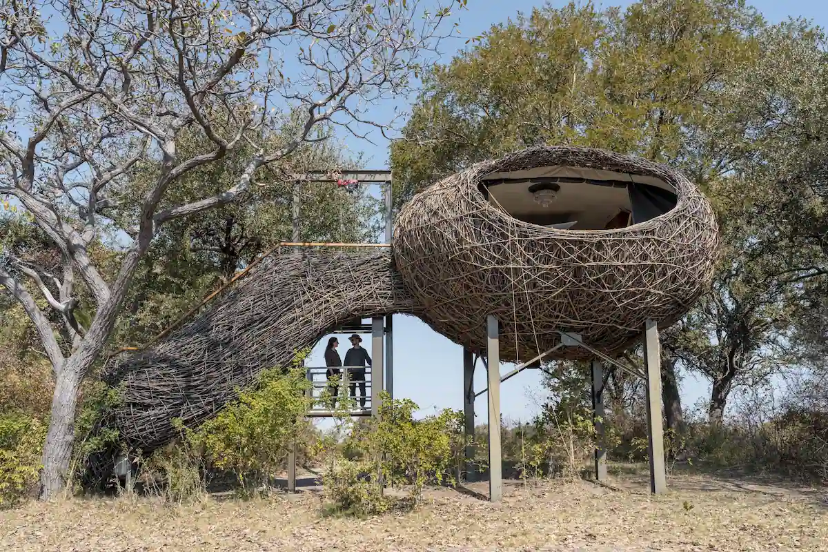 Chisa Busanga Camp Green Safaris