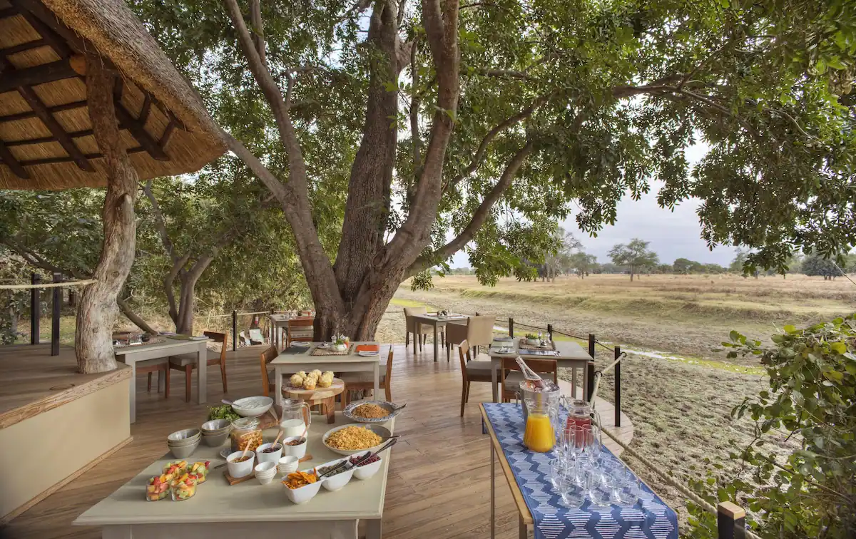 Lion Camp South Luangwa