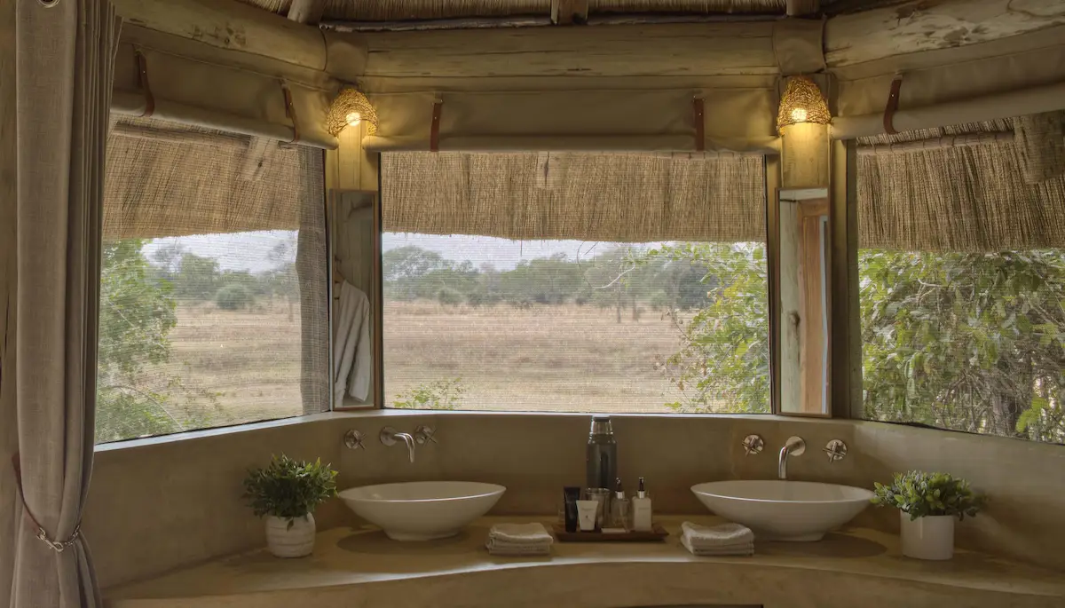 Lion Camp South Luangwa