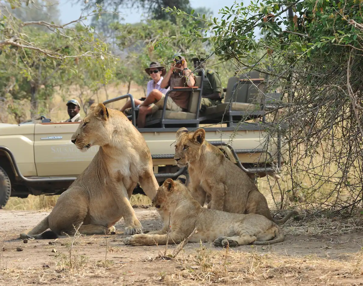 Potato Bush Camp Lower Zambezi