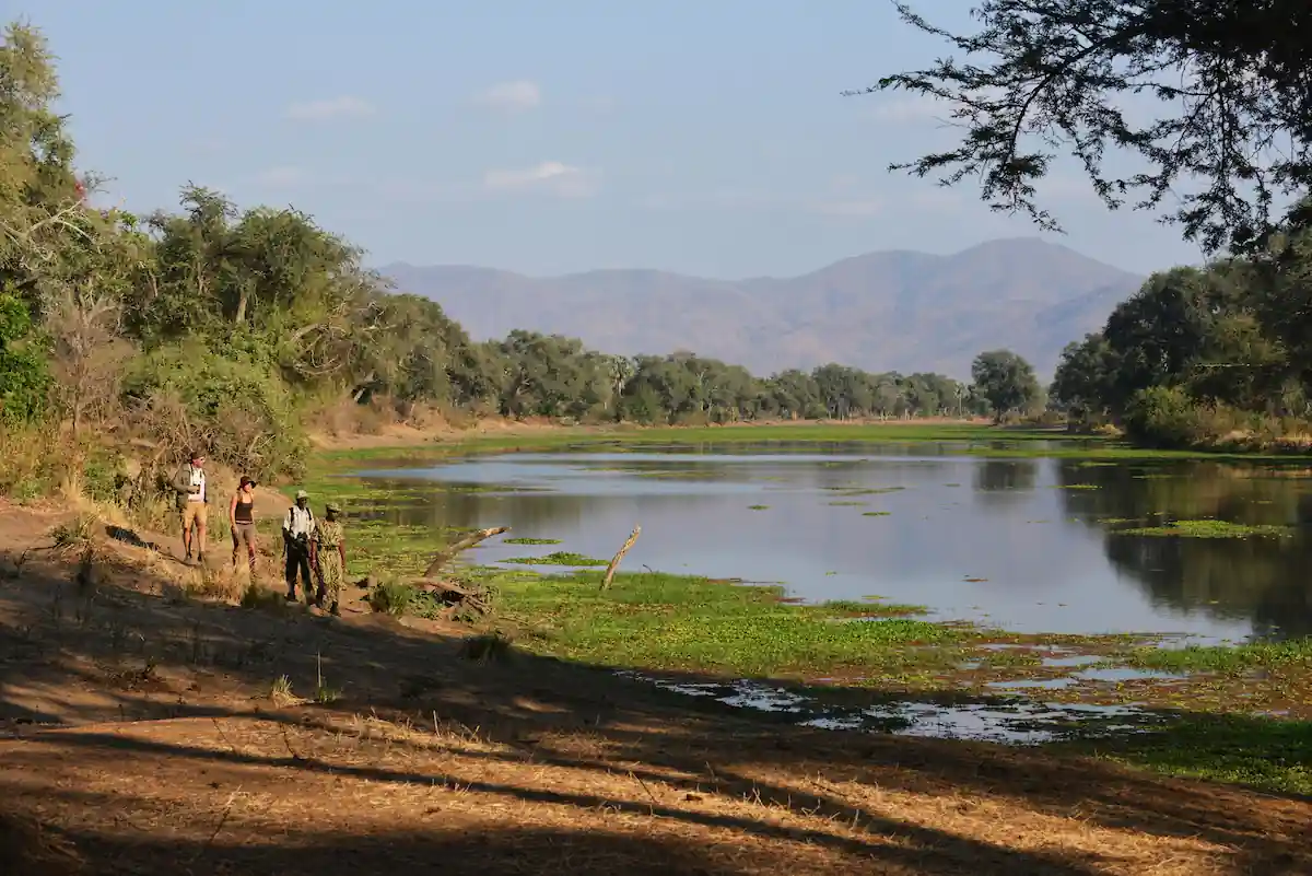 Potato Bush Camp Lower Zambezi