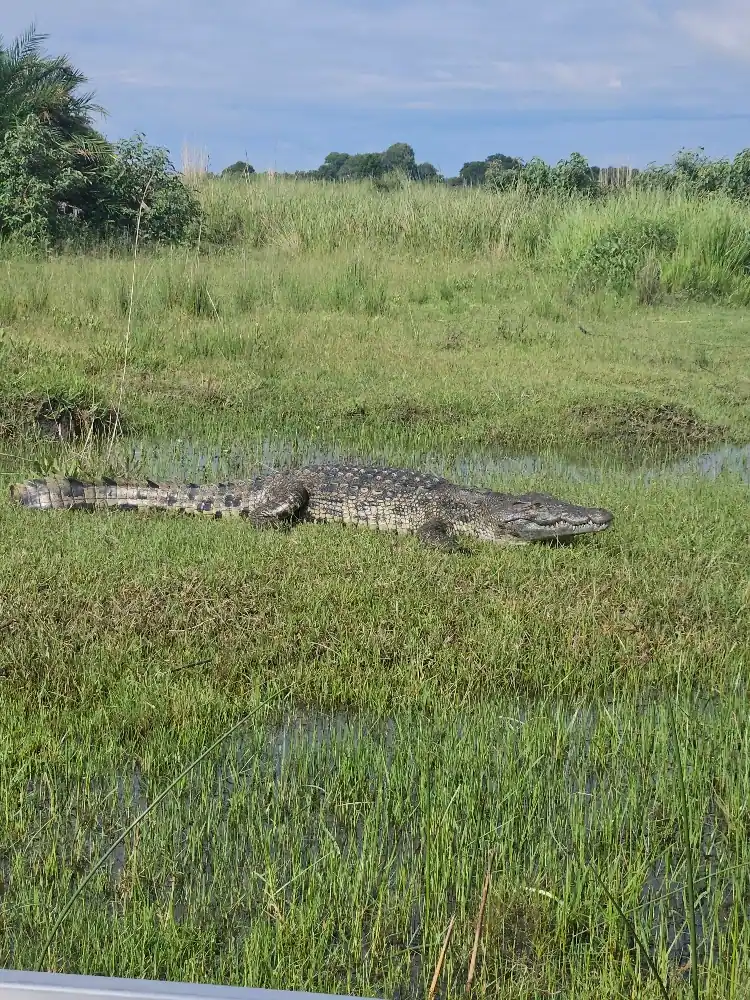 Okavango Delta with Desert & Delta Review